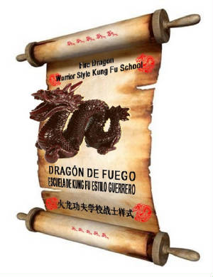Fire Dragon Warrior Style Kung Fu School